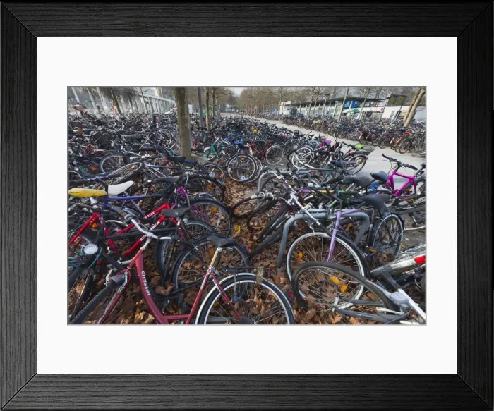 Framed Print : Picture No. 10893843 Framed Print : Picture No. 10893843