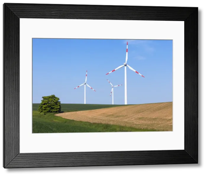 Framed Print : Picture No. 10893851 Framed Print : Picture No. 10893851