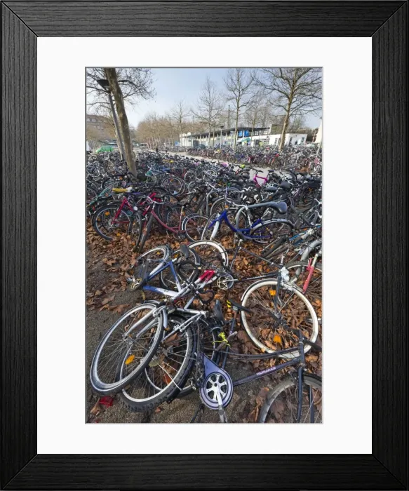 Framed Print : Picture No. 10893842 Framed Print : Picture No. 10893842