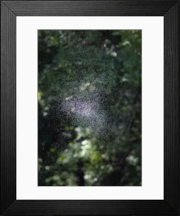 Framed Print : Picture No. 10893857 Framed Print : Picture No. 10893857