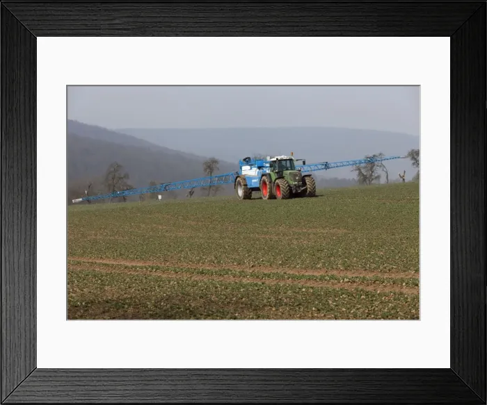 Framed Print : Picture No. 10893849 Framed Print : Picture No. 10893849