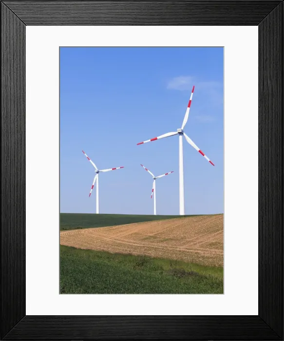 Framed Print : Picture No. 10893852 Framed Print : Picture No. 10893852