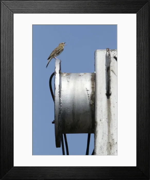 Framed Print : Picture No. 10894077 Framed Print : Picture No. 10894077