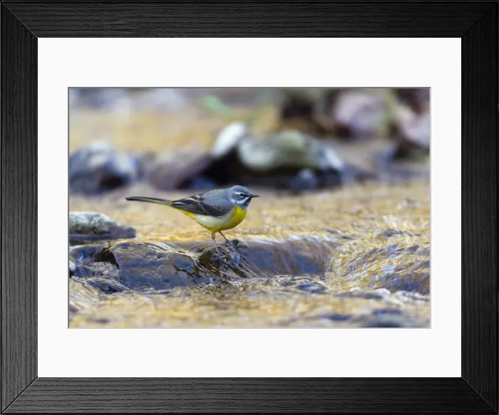 Framed Print : Picture No. 10894081 Framed Print : Picture No. 10894081