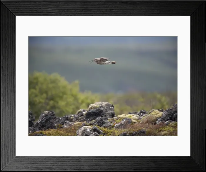 Framed Print : Picture No. 10894082 Framed Print : Picture No. 10894082
