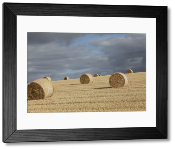 Framed Print : Picture No. 10894085 Framed Print : Picture No. 10894085