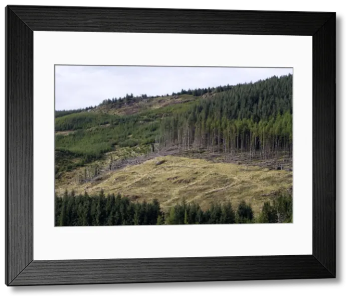Framed Print : Picture No. 10894086 Framed Print : Picture No. 10894086