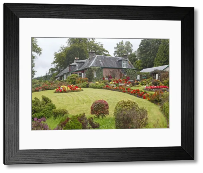 Framed Print : Picture No. 10894087