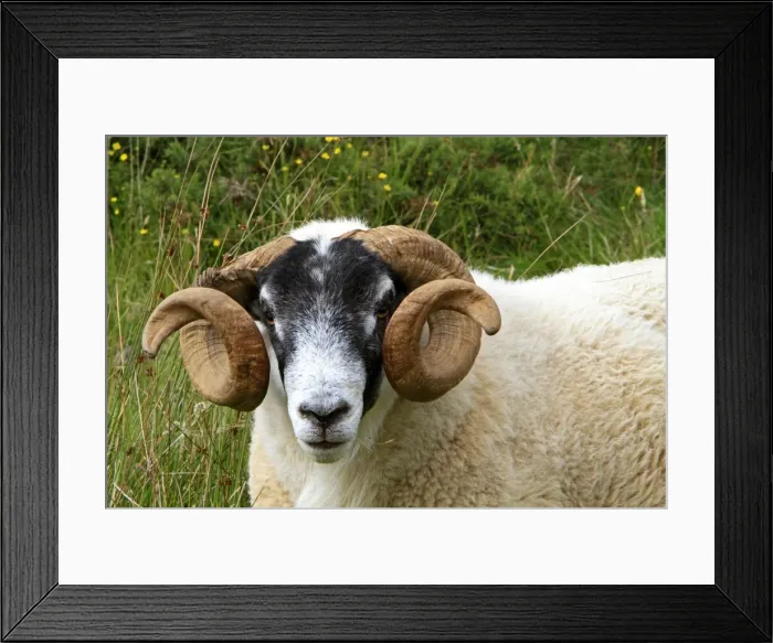 Framed Print : Picture No. 10894104 Framed Print : Picture No. 10894104