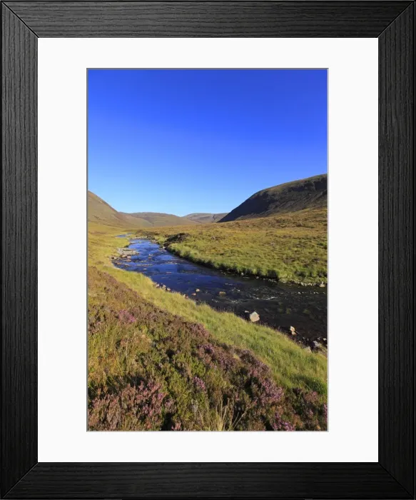 Framed Print : Picture No. 10894116 Framed Print : Picture No. 10894116