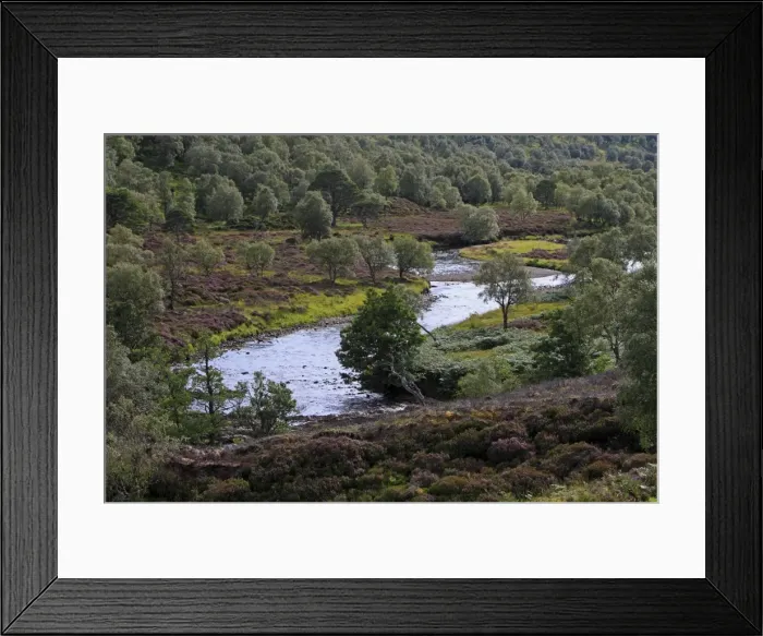 Framed Print : Picture No. 10894119 Framed Print : Picture No. 10894119