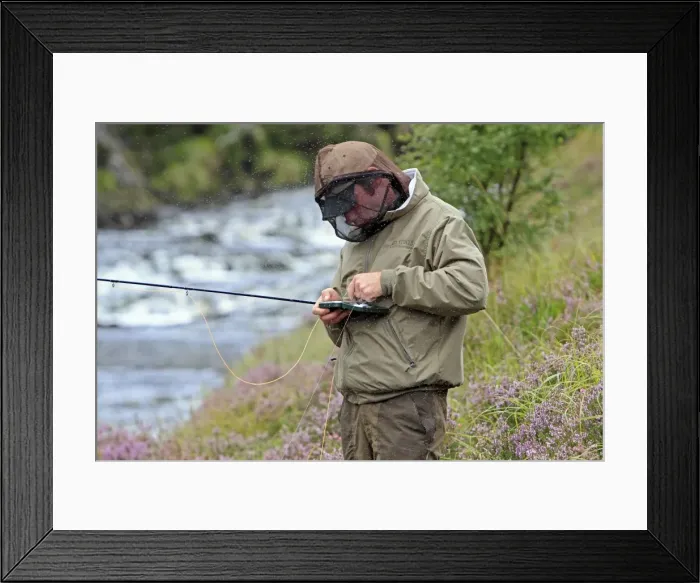 Framed Print : Picture No. 10894126 Framed Print : Picture No. 10894126