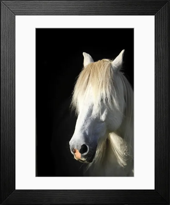 Framed Print : Picture No. 10894130 Framed Print : Picture No. 10894130