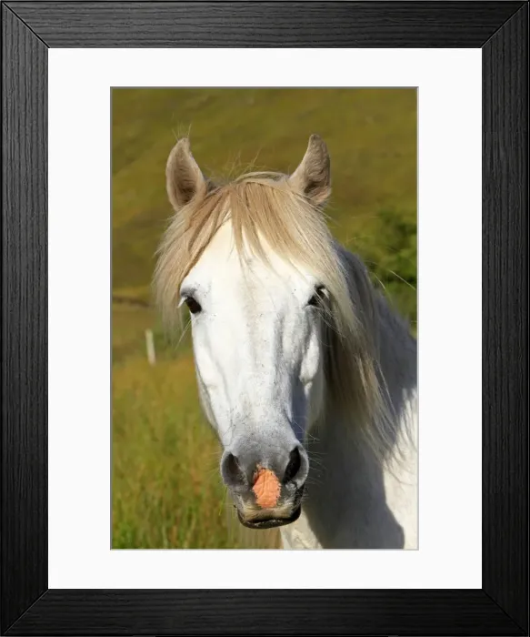 Framed Print : Picture No. 10894132 Framed Print : Picture No. 10894132
