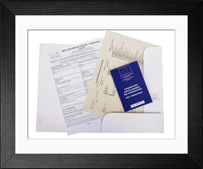 Framed Print : Picture No. 10898292 Framed Print : Picture No. 10898292
