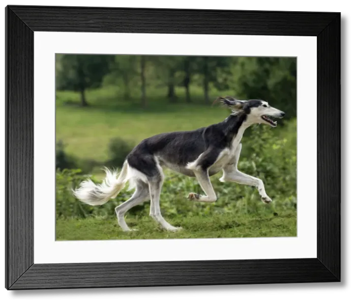 Framed Print : Picture No. 10898251 Framed Print : Picture No. 10898251
