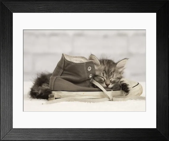 Framed Print : Picture No. 10898361 Framed Print : Picture No. 10898361