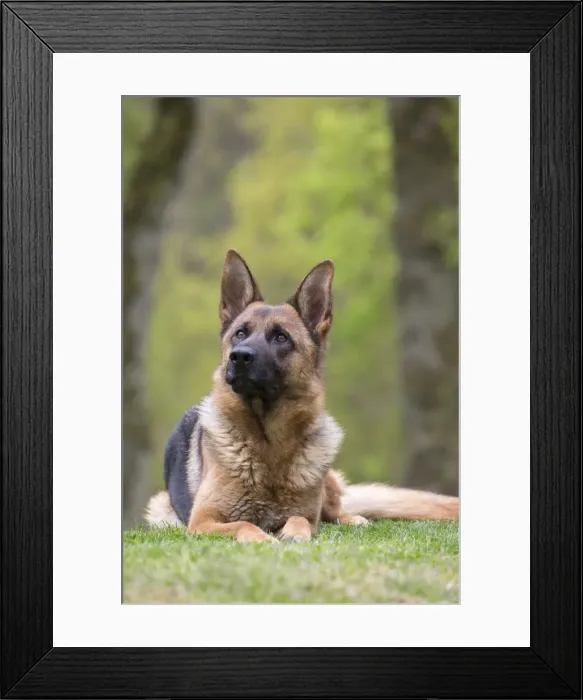 Framed Print : Picture No. 10898390 Framed Print : Picture No. 10898390