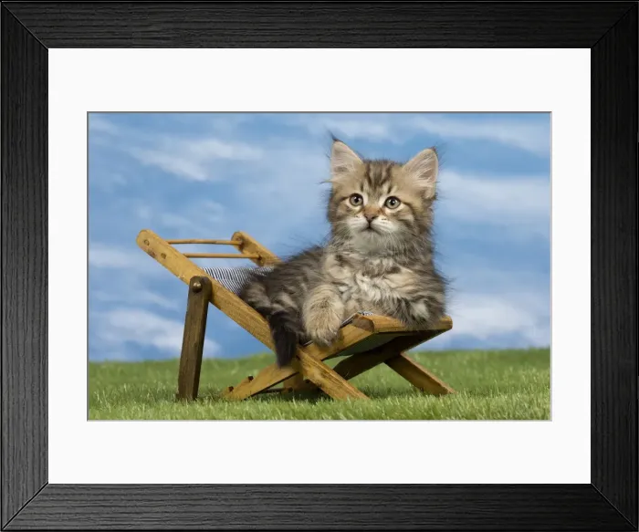 Framed Print : Picture No. 10898354 Framed Print : Picture No. 10898354