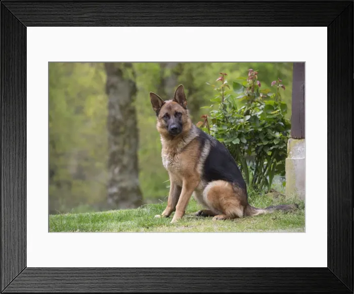 Framed Print : Picture No. 10898386 Framed Print : Picture No. 10898386