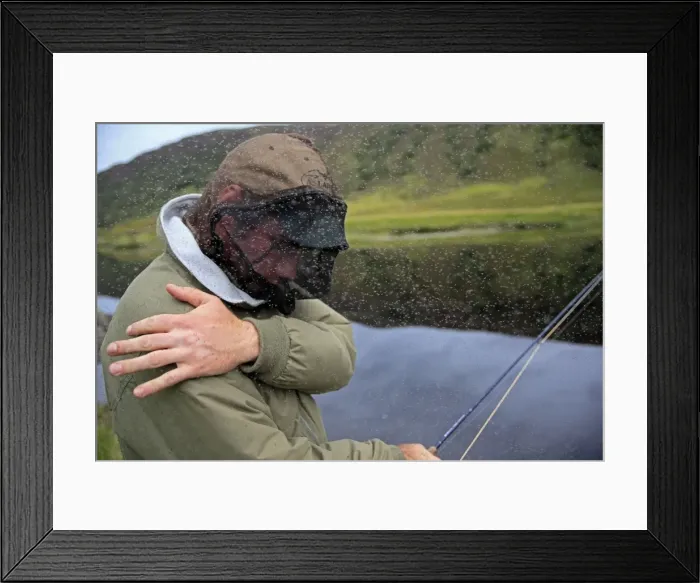 Framed Print : Picture No. 10894160 Framed Print : Picture No. 10894160