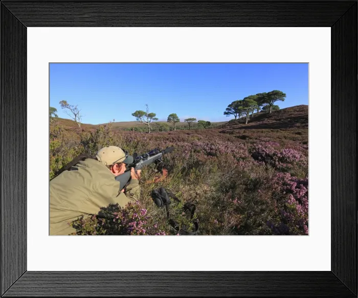 Framed Print : Picture No. 10894156 Framed Print : Picture No. 10894156