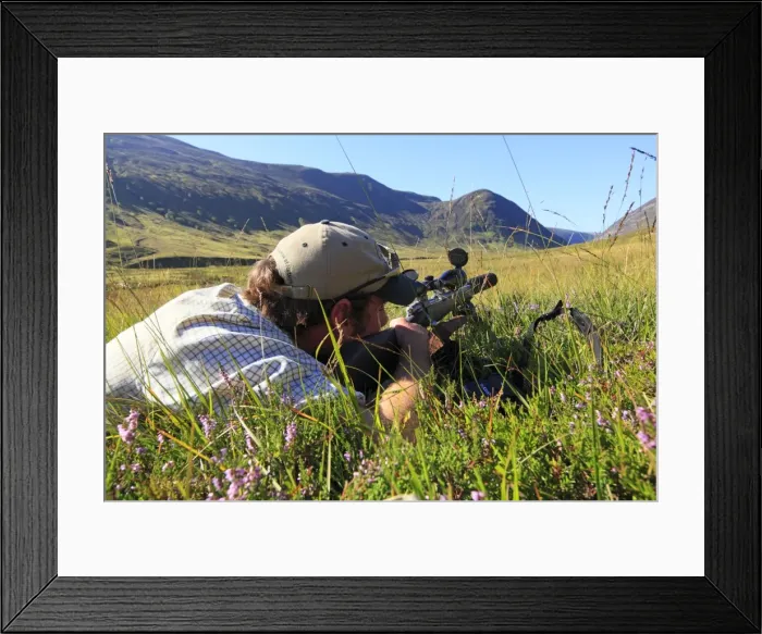 Framed Print : Picture No. 10894157