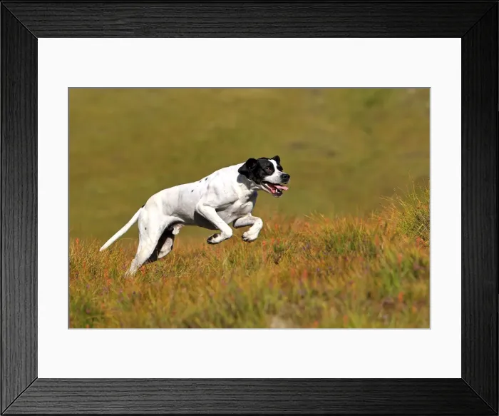 Framed Print : Picture No. 10894162 Framed Print : Picture No. 10894162