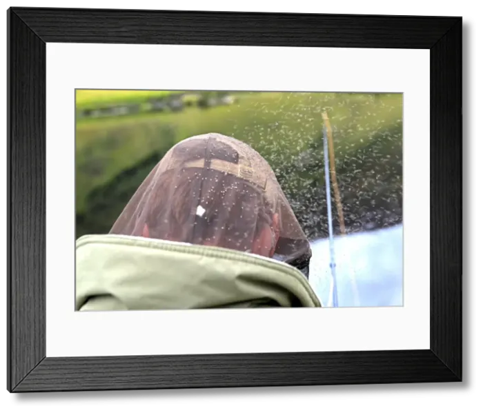 Framed Print : Picture No. 10894159 Framed Print : Picture No. 10894159