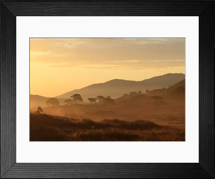 Framed Print : Picture No. 10894166 Framed Print : Picture No. 10894166