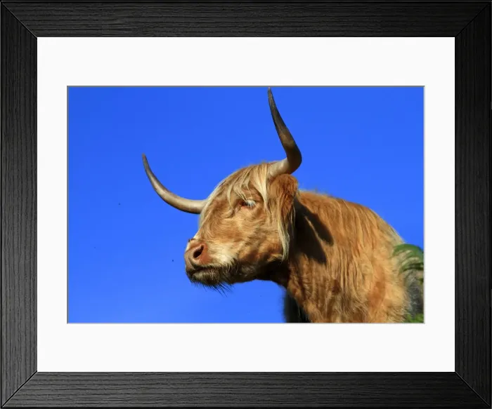 Framed Print : Picture No. 10894163 Framed Print : Picture No. 10894163