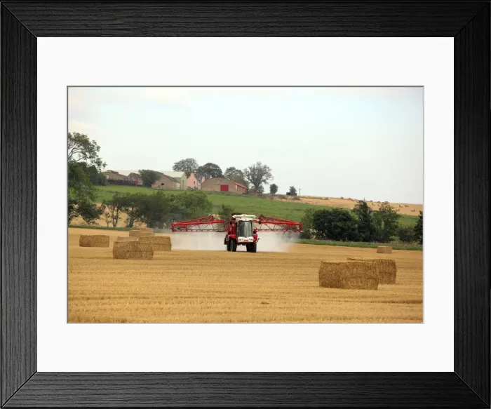Framed Print : Picture No. 10894177 Framed Print : Picture No. 10894177