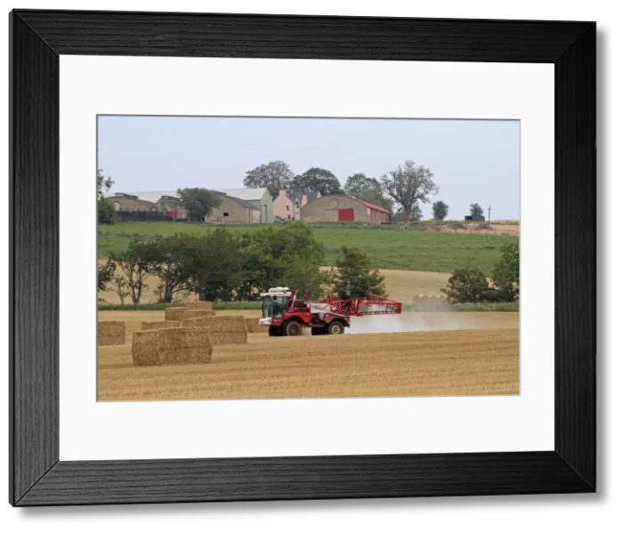 Framed Print : Picture No. 10894176 Framed Print : Picture No. 10894176
