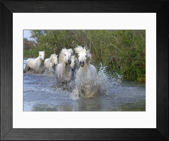 Framed Print : Picture No. 10894208 Framed Print : Picture No. 10894208