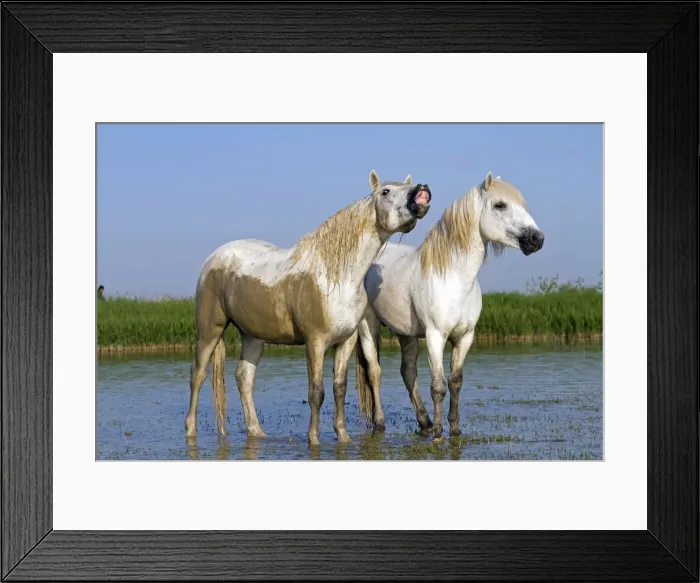 Framed Print : Picture No. 10894221 Framed Print : Picture No. 10894221