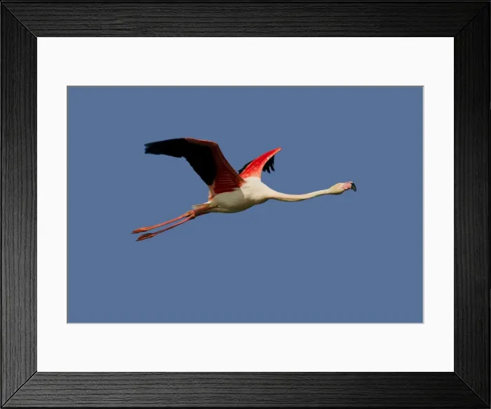 Framed Print : Picture No. 10894247 Framed Print : Picture No. 10894247