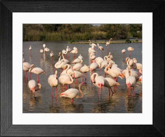 Framed Print : Picture No. 10894243 Framed Print : Picture No. 10894243