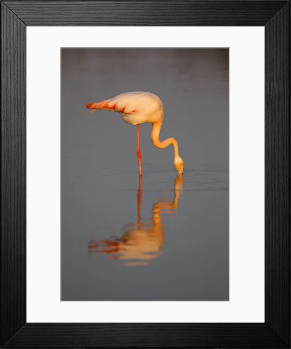 Framed Print : Picture No. 10894244 Framed Print : Picture No. 10894244