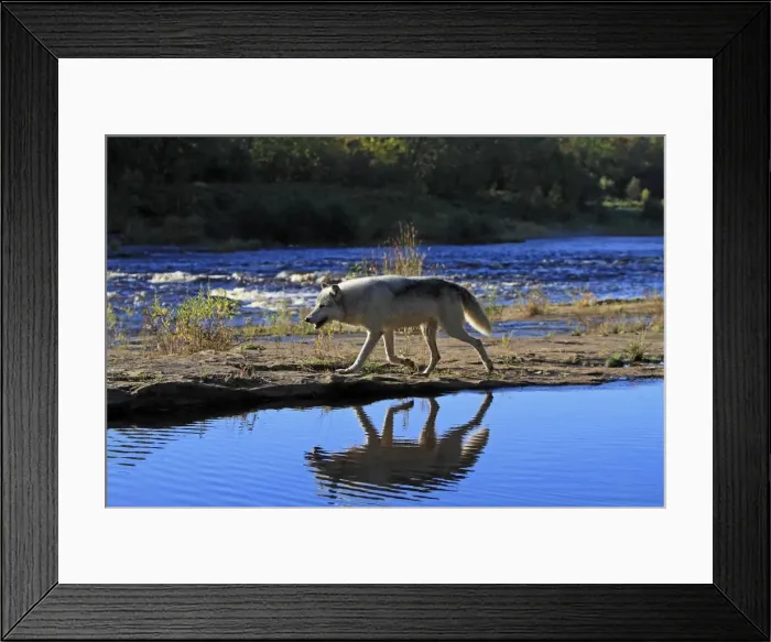 Framed Print : Picture No. 10894286 Framed Print : Picture No. 10894286