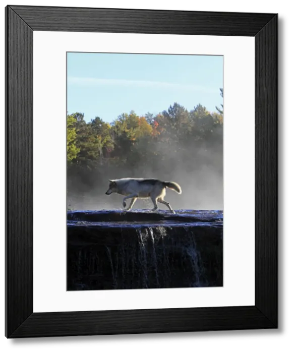 Framed Print : Picture No. 10894284
