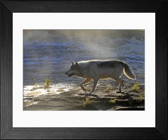 Framed Print : Picture No. 10894285 Framed Print : Picture No. 10894285