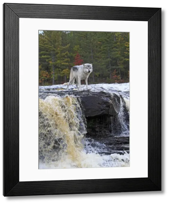 Framed Print : Picture No. 10894292 Framed Print : Picture No. 10894292