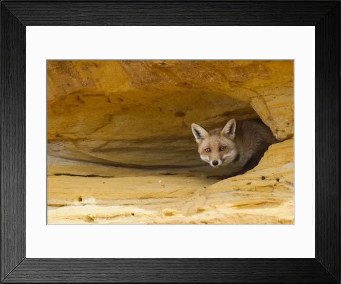 Framed Print : Picture No. 10894359 Framed Print : Picture No. 10894359