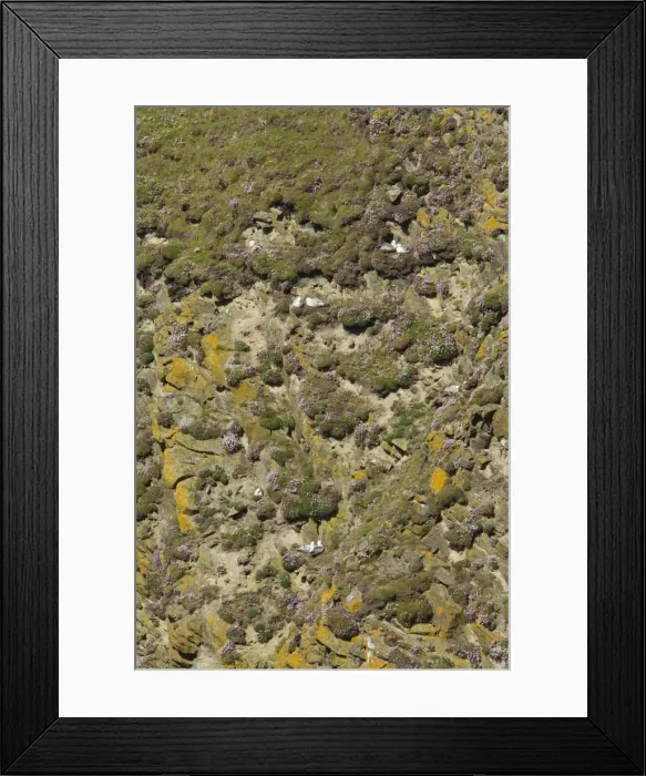 Framed Print : Picture No. 10894419 Framed Print : Picture No. 10894419