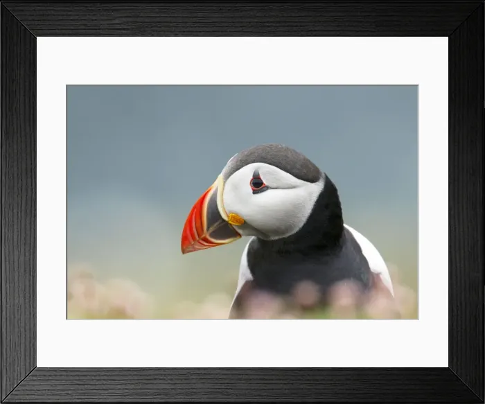 Framed Print : Picture No. 10894433 Framed Print : Picture No. 10894433