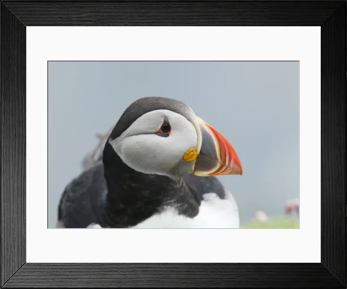 Framed Print : Picture No. 10894435 Framed Print : Picture No. 10894435