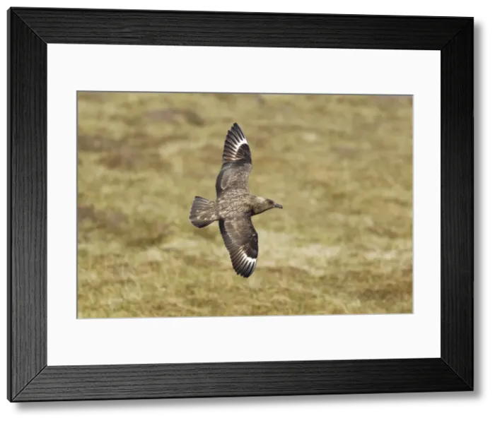 Framed Print : Picture No. 10894441 Framed Print : Picture No. 10894441