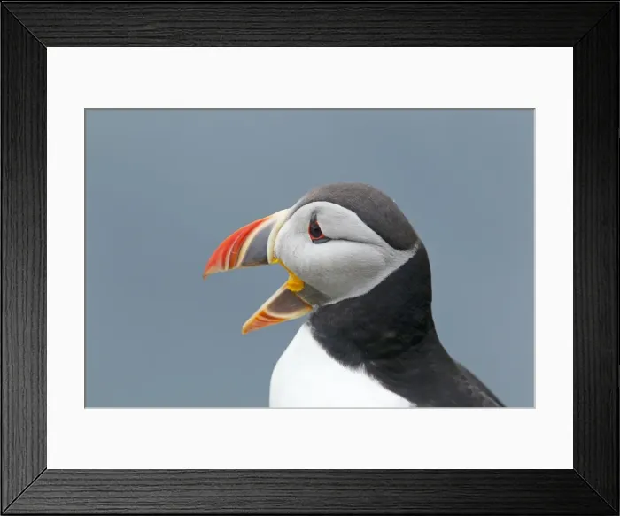 Framed Print : Picture No. 10894434 Framed Print : Picture No. 10894434