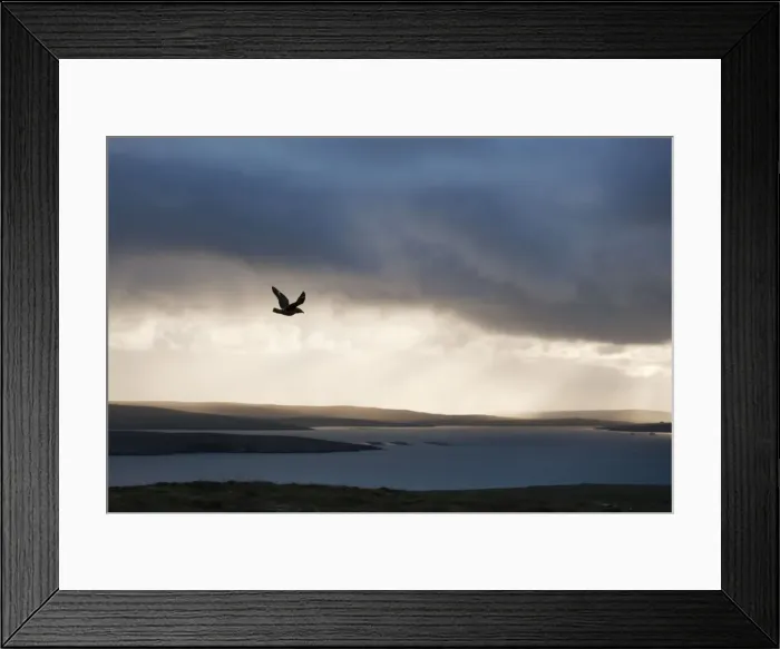Framed Print : Picture No. 10894446 Framed Print : Picture No. 10894446
