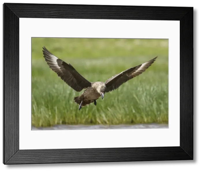 Framed Print : Picture No. 10894451 Framed Print : Picture No. 10894451